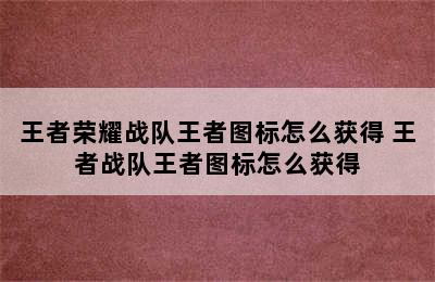 王者荣耀战队王者图标怎么获得 王者战队王者图标怎么获得